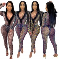 Wholesale Deep V Mesh Snake Pattern Printed Nightclub Style Sexy Perspective Two-piece Suit